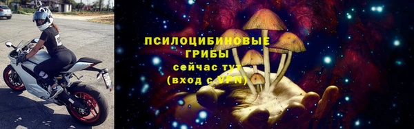 гидра Баксан