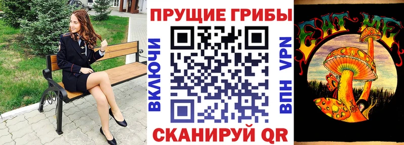 Псилоцибиновые грибы мухоморы  Сосновый Бор 